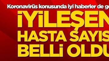 T&uuml;rkiye&rsquo;de iyileşen hasta sayısı belli oldu