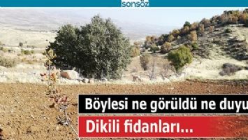B&Ouml;YLESİ NE G&Ouml;R&Uuml;LD&Uuml; NE DUYULDU;