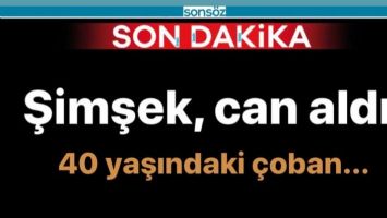 Şimşek, can aldı