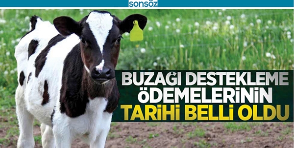 &Ouml;DEME TARİHLERİ BELLİ OLDU