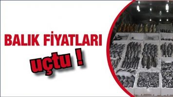 BALIK FİYATLARI U&Ccedil;TU!