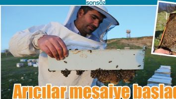 ARICILAR MESAİYE BAŞLADI