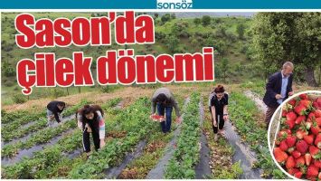 SASON&rsquo;DA &Ccedil;İLEK D&Ouml;NEMİ