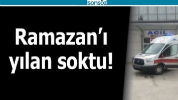RAMAZAN&rsquo;I YILAN SOKTU!
