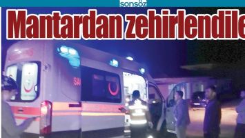 MANTARDAN ZEHİRLENDİLER!