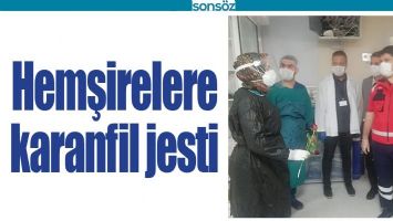 HEMŞİRELERE KARANFİL JESTİ
