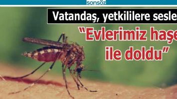 VATANDAŞ, YETKİLİLERE SESLENDİ