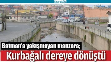 BATMAN&rsquo;A YAKIŞMAYAN MANZARA;