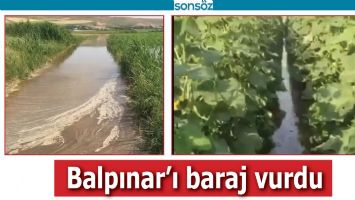 BALPINAR&rsquo;I BARAJ VURDU