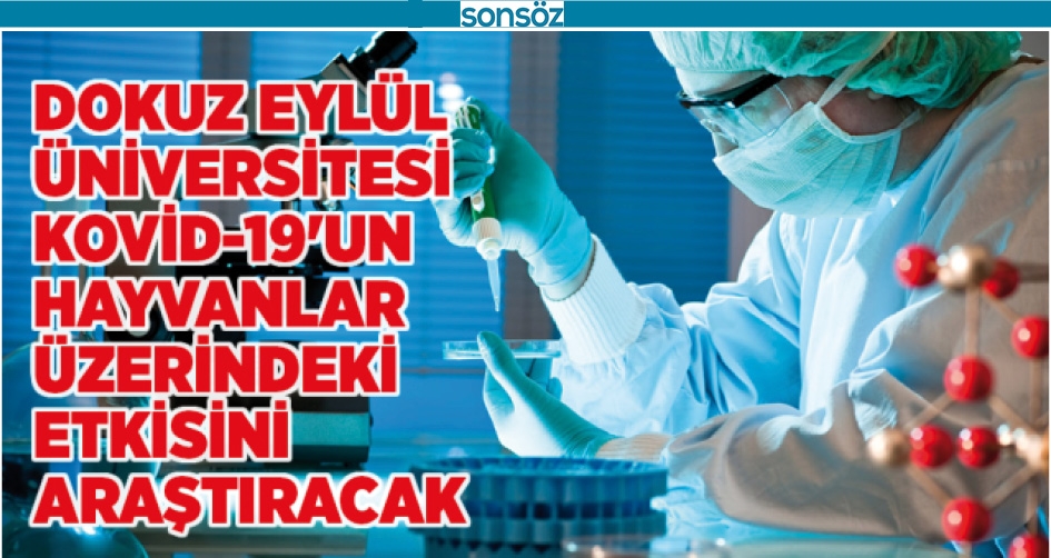 Kovid-19'un hayvanlar &uuml;zerindeki etkisi araştırılacak