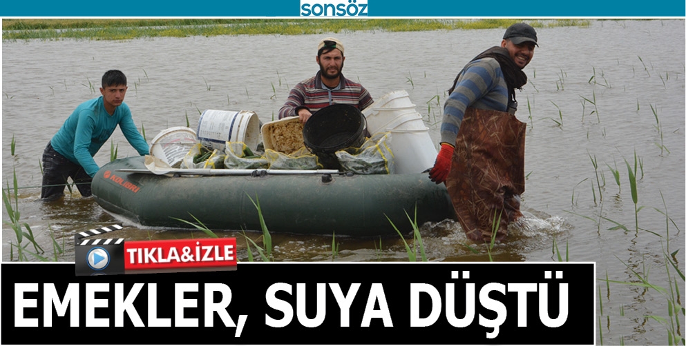 EMEKLER, SUYA D&Uuml;ŞT&Uuml;