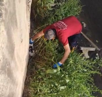İtfaiye, minik kedi i&ccedil;in seferber oldu
