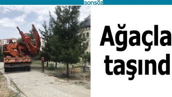 AĞA&Ccedil;LAR TAŞINDI