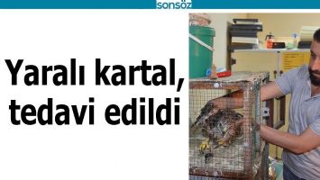 YARALI KARTAL, TEDAVİ EDİLDİ