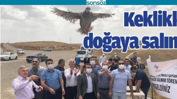 KEKLİKLER DOĞAYA SALINDI