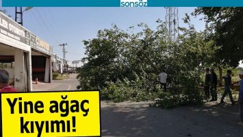 YİNE AĞA&Ccedil; KIYIMI!