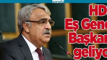 HDP EŞ GENEL BAŞKANI GELİYOR