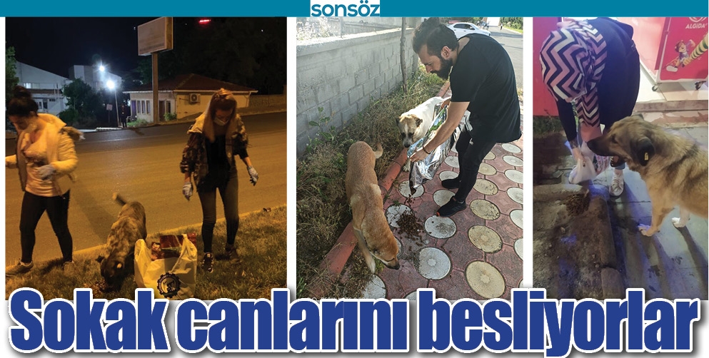 SOKAK CANLARINI BESLİYORLAR