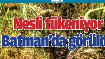 NESLİ T&Uuml;KENİYOR, BATMAN&rsquo;DA G&Ouml;R&Uuml;LD&Uuml;