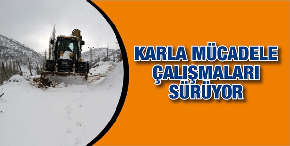 KARLA M&Uuml;CADELE &Ccedil;ALIŞMALARI S&Uuml;R&Uuml;YOR