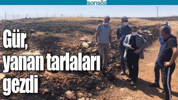 G&Uuml;R, YANAN TARLALARI GEZDİ