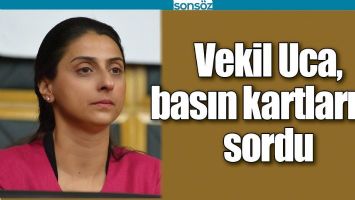 VEKİL UCA, BASIN KARTLARINI SORDU