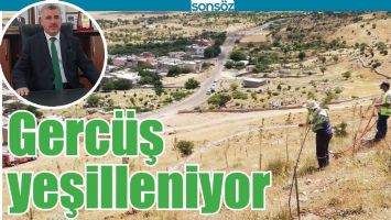 GERC&Uuml;Ş YEŞİLLENİYOR