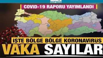 SAĞLIK BAKANLIĞI COVİD-19 RAPORUNU YAYIMLADI