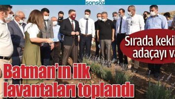 BATMAN&rsquo;IN İLK LAVANTALARI TOPLANDI