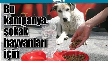BU KAMPANYA, SOKAK HAYVANLARI İ&Ccedil;İN