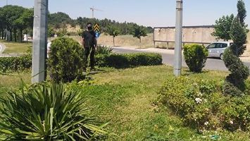 S&Uuml;S BİTKİLERİNE ŞEKİL VERİLİYOR