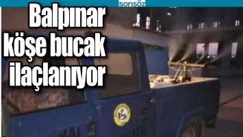 BALPINAR K&Ouml;ŞE BUCAK İLA&Ccedil;LANIYOR