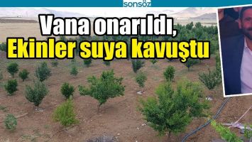 VANA ONARILDI, EKİNLER SUYA KAVUŞTU