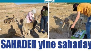 SAHADER YİNE SAHADAYDI