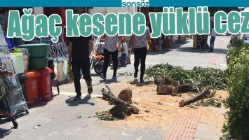 AĞA&Ccedil; KESENE Y&Uuml;KL&Uuml; CEZA!
