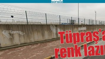 T&Uuml;PRAŞ&rsquo;A RENK LAZIM