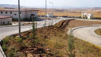 YENİ CEZAEVİ YEŞİLLENDİ