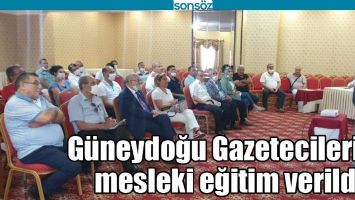 G&Uuml;NEYDOĞU GAZETECİLERİNE MESLEKİ EĞİTİM VERİLDİ