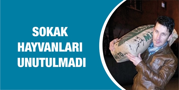 SOKAK HAYVANLARI UNUTULMADI
