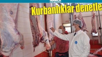 KURBANLIKLAR DENETLENDİ