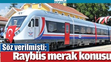RAYB&Uuml;S MERAK KONUSU?
