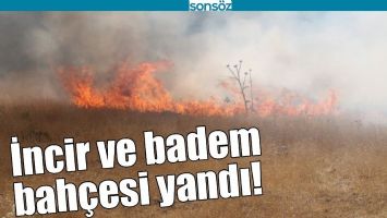 İNCİR VE BADEM BAH&Ccedil;ESİ YANDI!