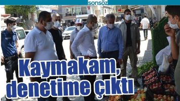 KAYMAKAM, DENETİME &Ccedil;IKTI
