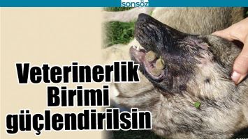 VETERİNERLİK BİRİMİ G&Uuml;&Ccedil;LENDİRİLSİN