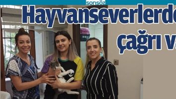 HAYVANSEVERLERDEN &Ccedil;AĞRI VAR