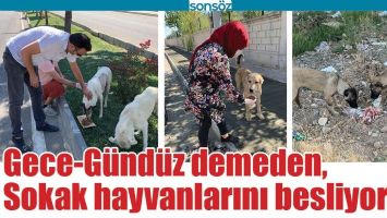 GECE-G&Uuml;ND&Uuml;Z DEMEDEN, SOKAK HAYVANLARINI BESLİYORLAR