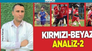 KIRMIZI BEYAZ ANALİZ-2