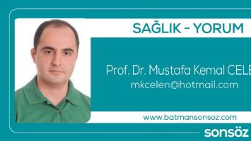 &Ccedil;AĞIMIZIN VİRAL HASTALIKLARI VE B&Ouml;LGEMİZDEKİ &Ouml;NEMİ