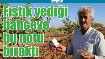 FISTIK YEDİĞİ BAH&Ccedil;EYE BU NOTU BIRAKTI