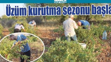 &Uuml;Z&Uuml;M KURUTMA SEZONU BAŞLADI